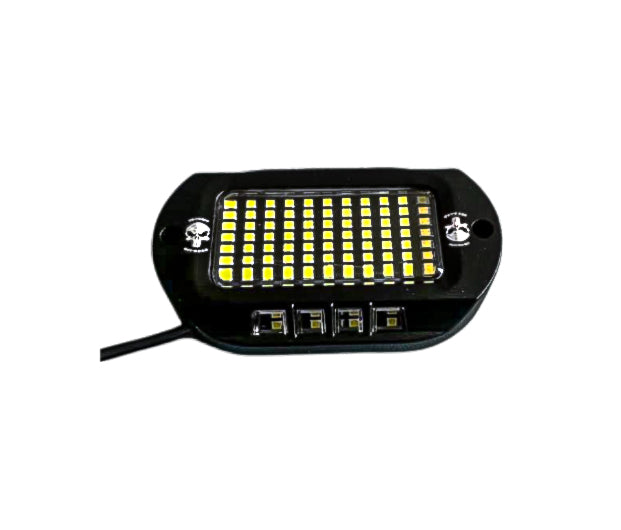 9100 Lumen RGBW Rock Light, 44 Pod, IP67